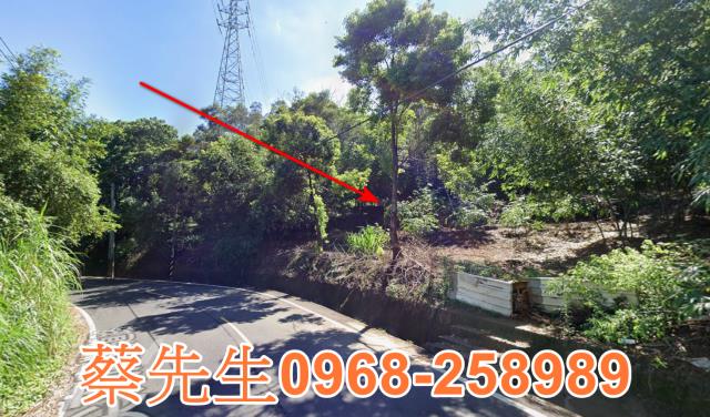 頭份法拍農地-3