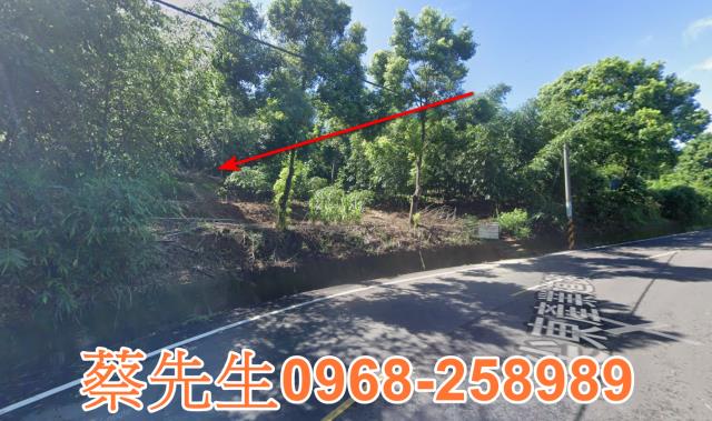 頭份法拍農地-5