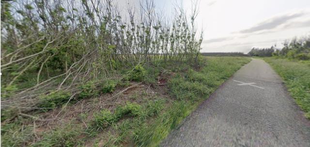 湖西法拍農地-4