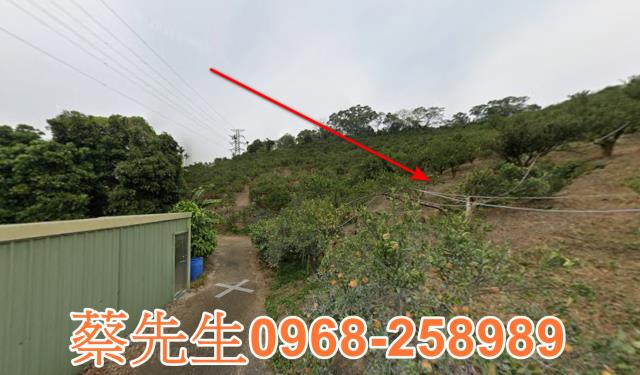 頭份法拍農地-11