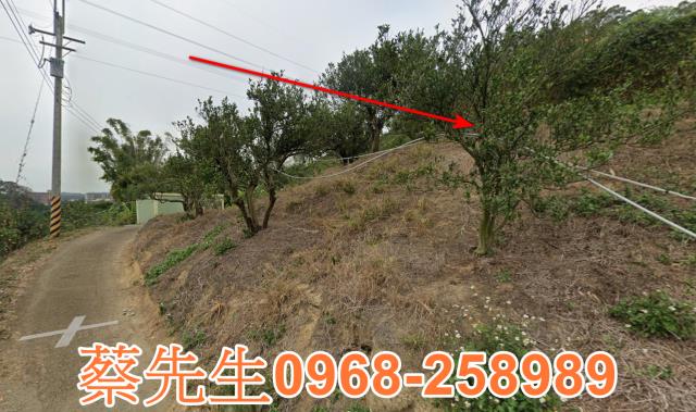 頭份法拍農地-12