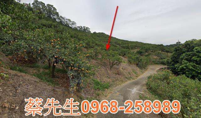 頭份法拍農地-14