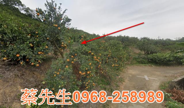 頭份法拍農地-5