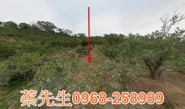 頭份法拍農地-8