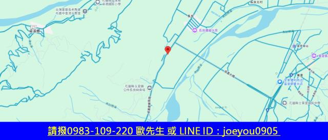 玉里農地法拍-13