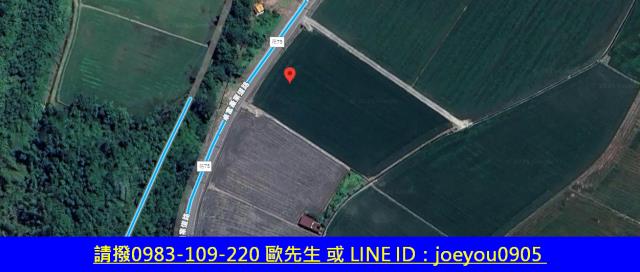 玉里農地法拍-14