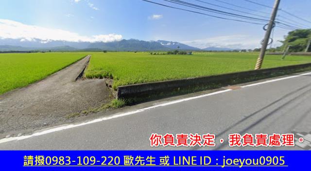玉里農地法拍-2