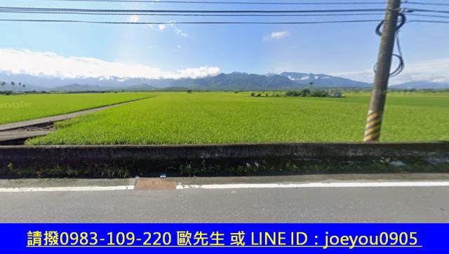 玉里農地法拍-3