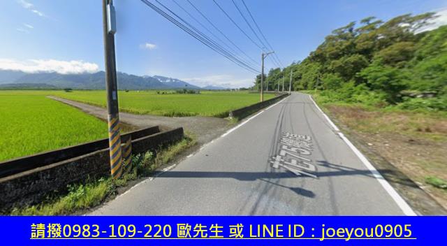 玉里農地法拍-4