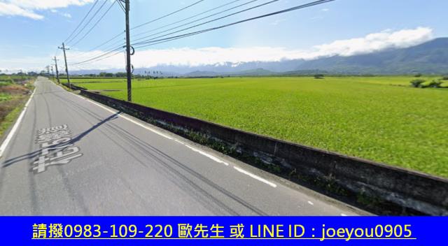 玉里農地法拍-5
