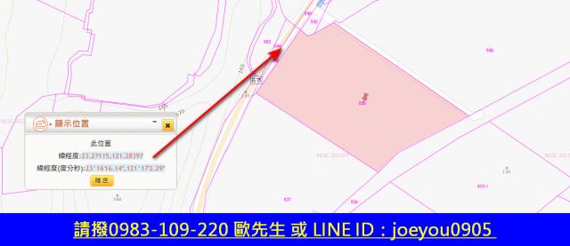 玉里農地法拍-6