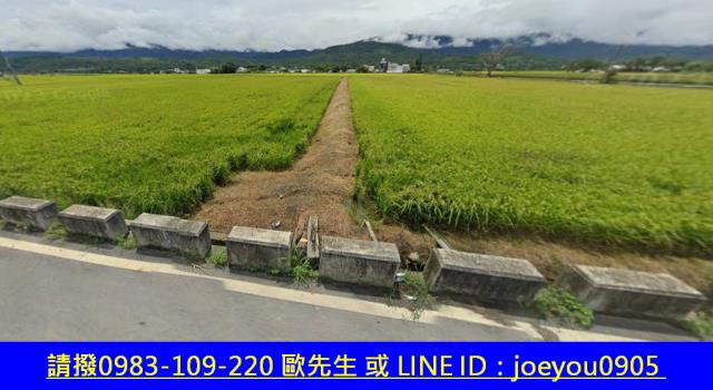 富里農地拍賣-10