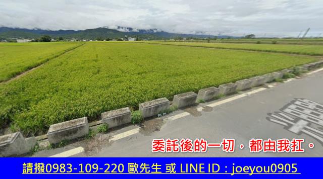 富里農地拍賣-2