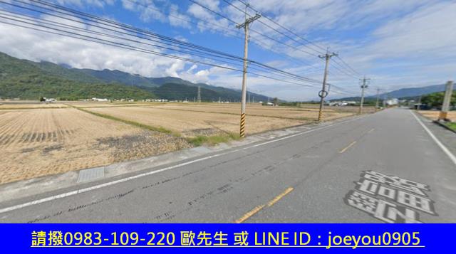 富里法拍農地-9