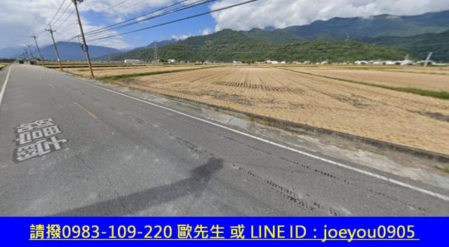 富里法拍農地-11