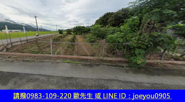 富里法拍建地-11