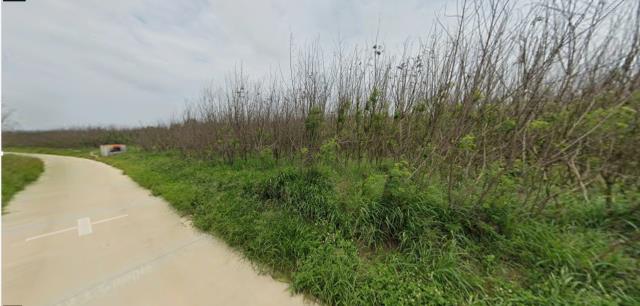 湖西法拍農地-12