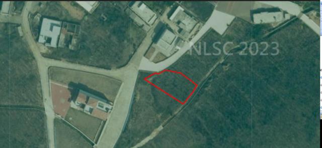 湖西法拍農地-9