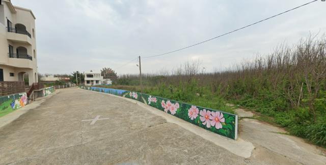 湖西法拍農地-12