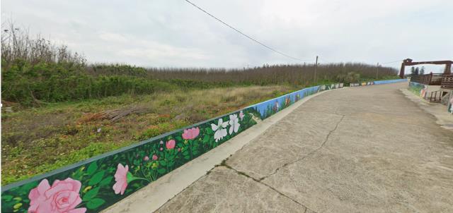 湖西法拍農地-3