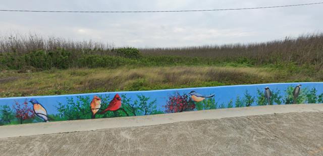 湖西法拍農地-7