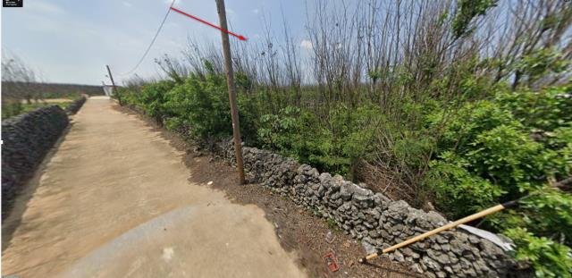 澎湖法拍農地-11