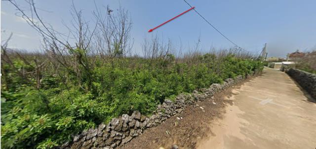 澎湖法拍農地-4