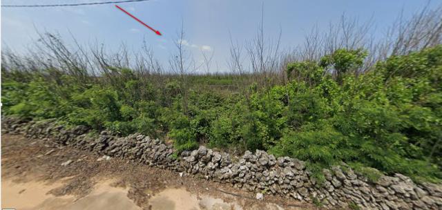 澎湖法拍農地-7