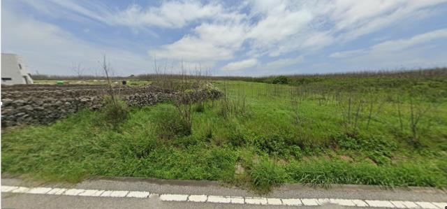 澎湖農地法拍-7