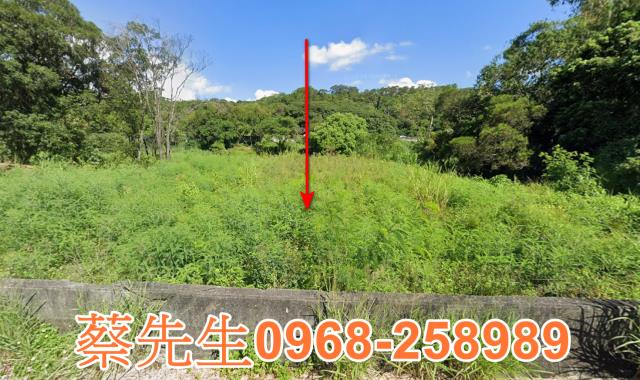 苗栗農地法拍-0