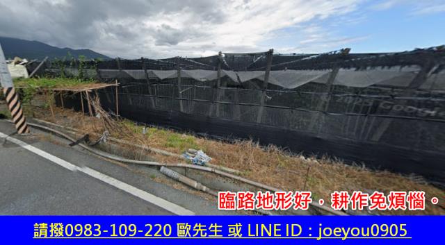 台東農地拍賣-2