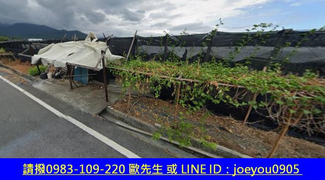 台東農地拍賣-3