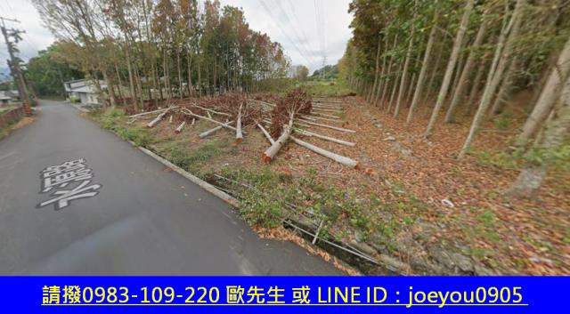 台東鹿野法拍農地-10