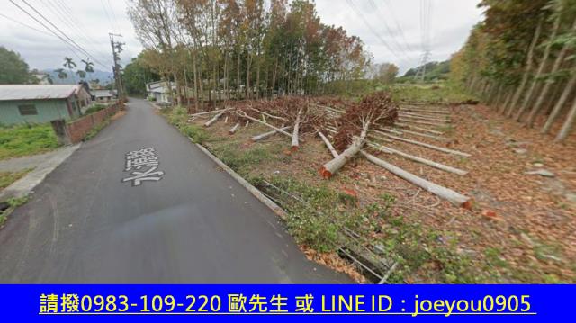 台東鹿野法拍農地-11