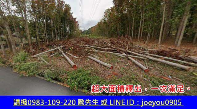 台東鹿野法拍農地-2