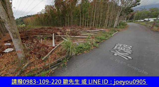 台東鹿野法拍農地-3