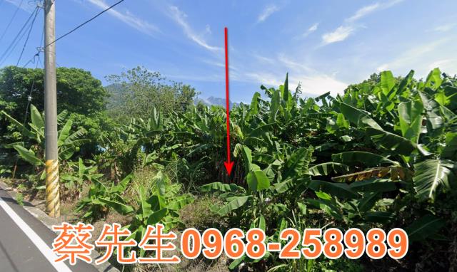 花蓮秀林法拍農地-0