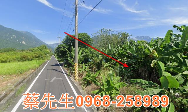 花蓮秀林法拍農地-3