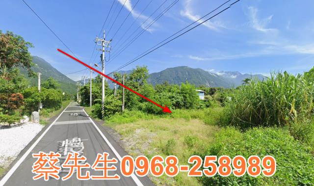 秀林法拍農地-3