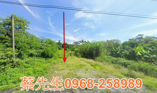 秀林法拍農地-8