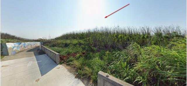 湖西農地法拍-13