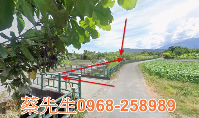 吉安法拍農地-12