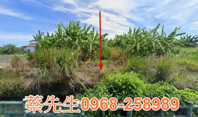 吉安法拍農地-0