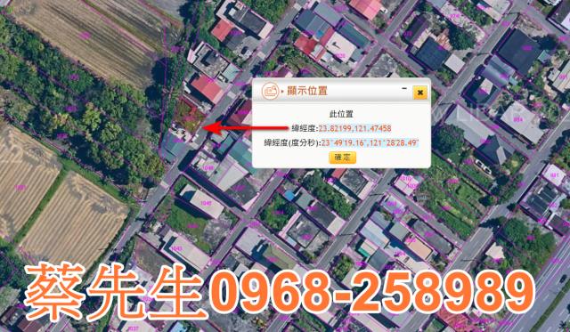 壽豐拍賣建地-10