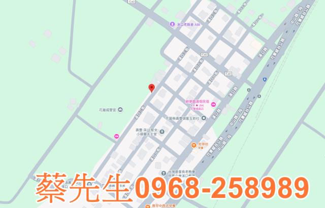 壽豐拍賣建地-7