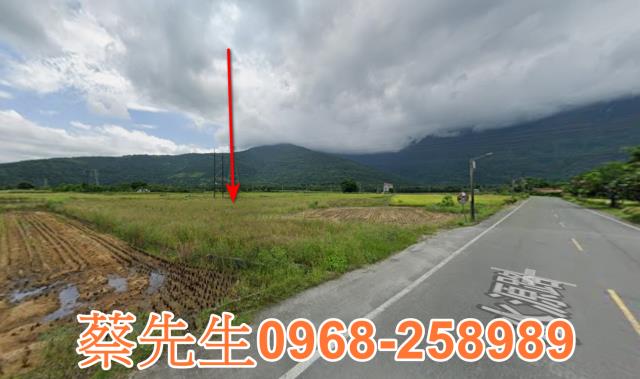 鳳林法拍農地-11