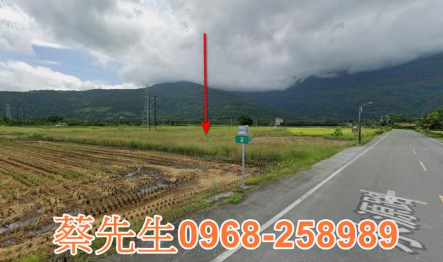 鳳林法拍農地-12