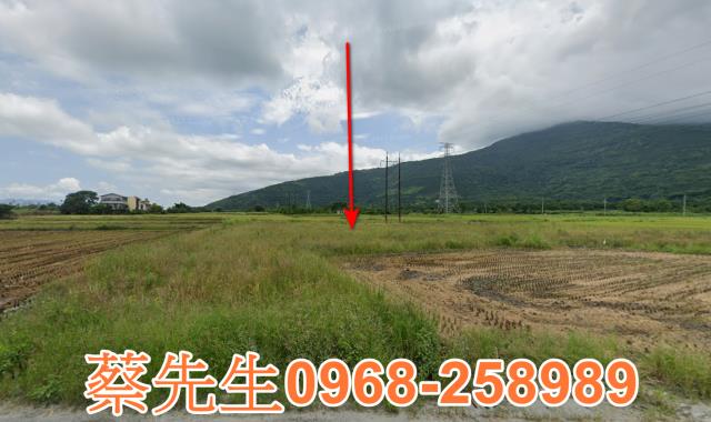 鳳林法拍農地-0