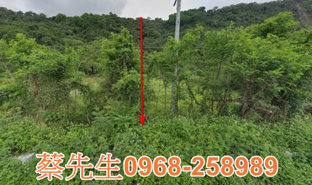 卓溪農地法拍-0