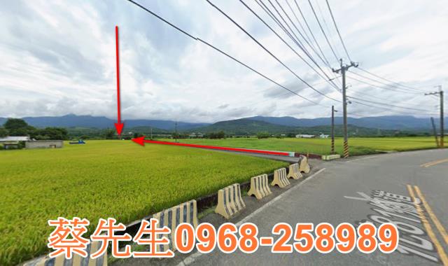 富里農地拍賣-11